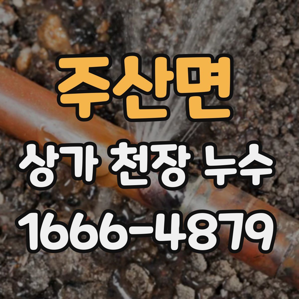 주산면 상가 천장 누수