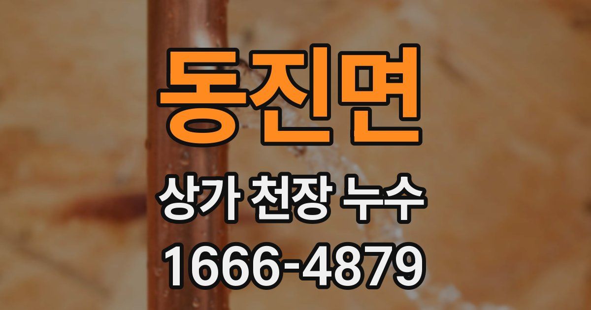동진면 상가 천장 누수