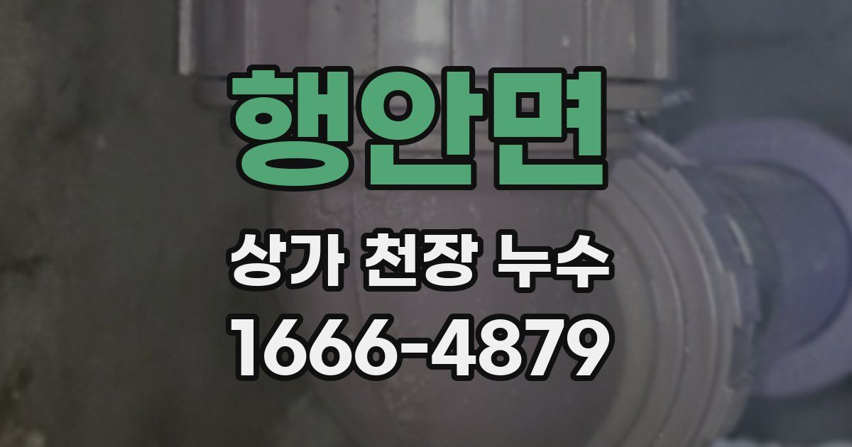 행안면 상가 천장 누수