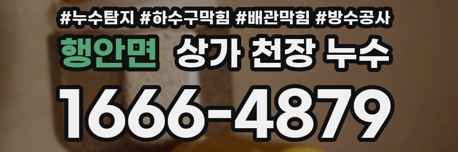 행안면 상가 천장 누수