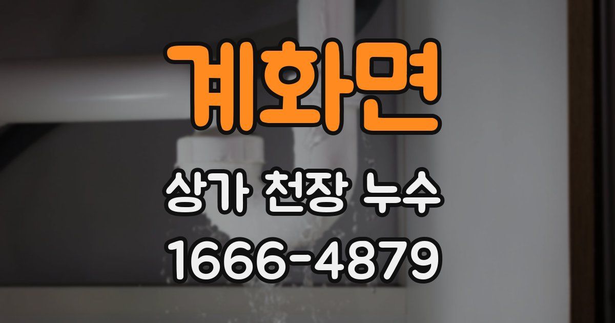 계화면 상가 천장 누수