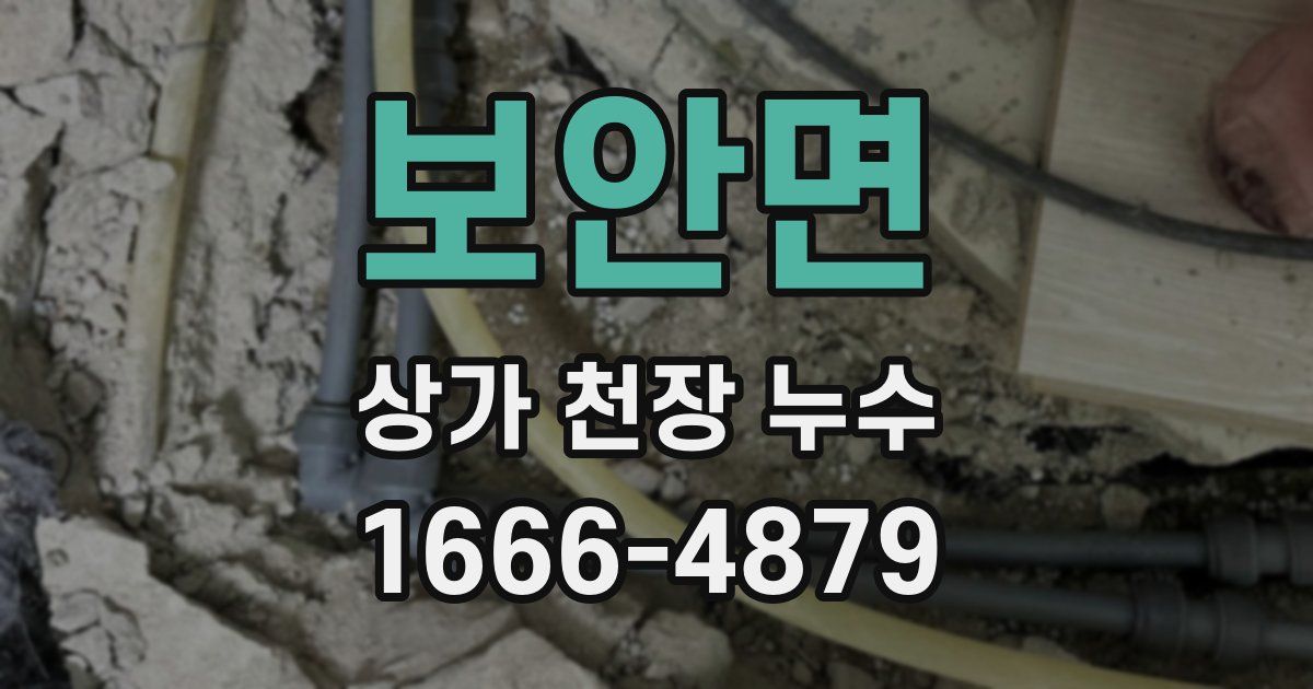 보안면 상가 천장 누수