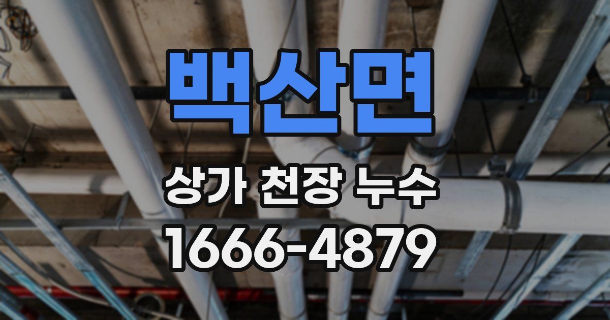 백산면 상가 천장 누수