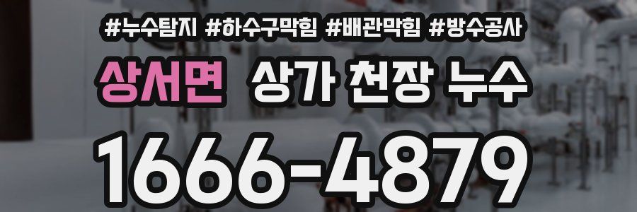 상서면 상가 천장 누수