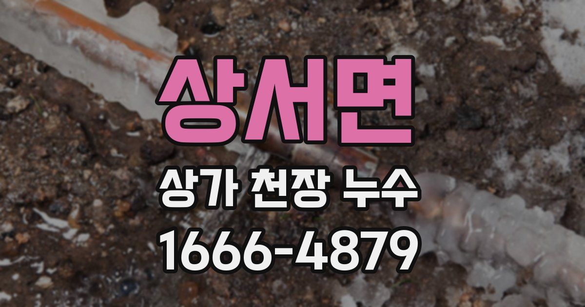 상서면 상가 천장 누수