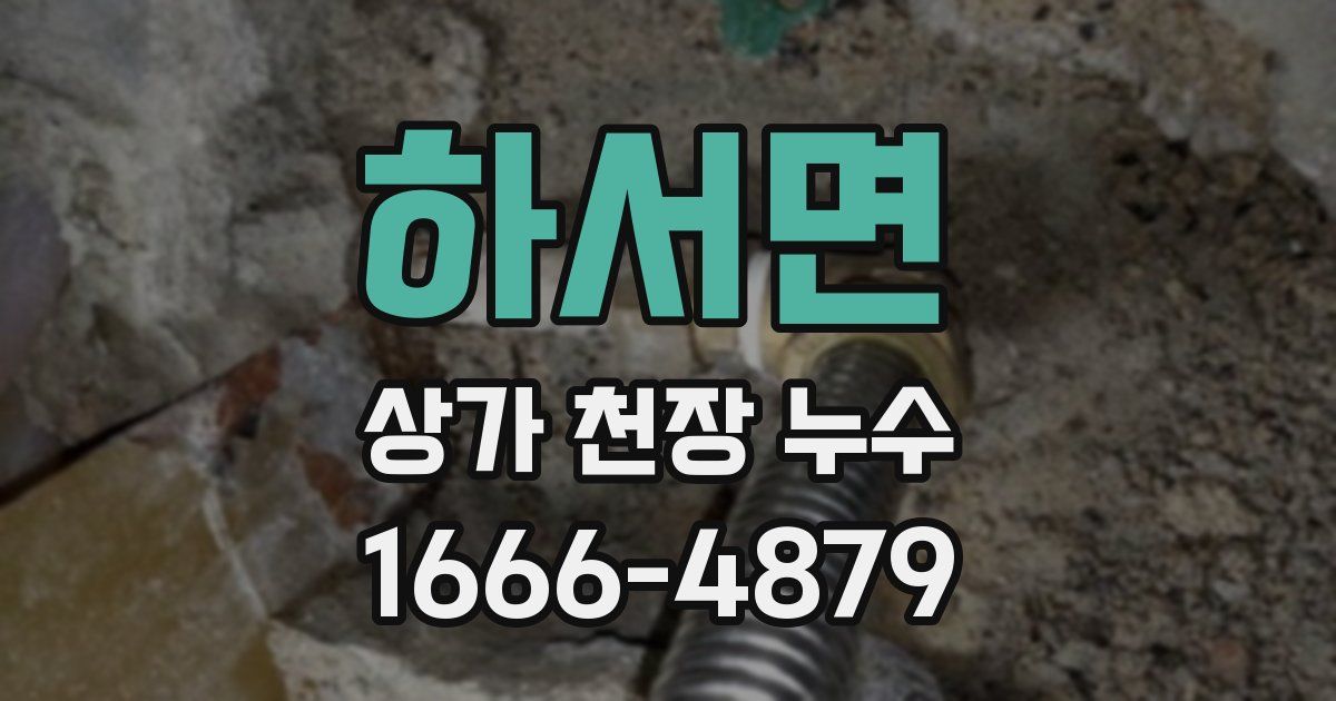 하서면 상가 천장 누수