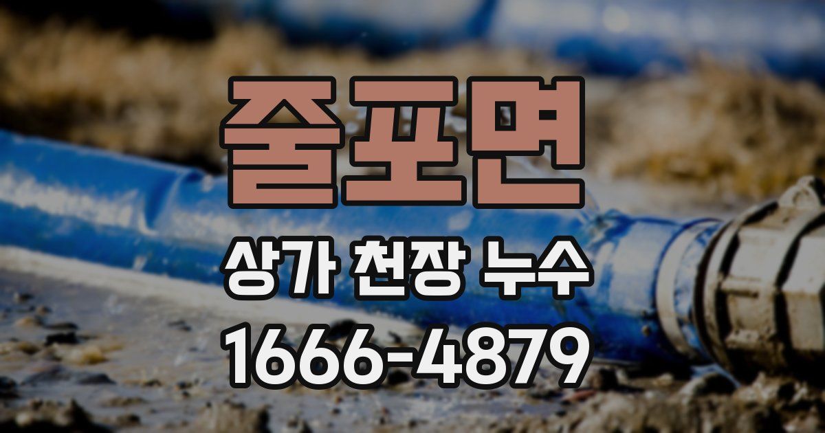 줄포면 상가 천장 누수