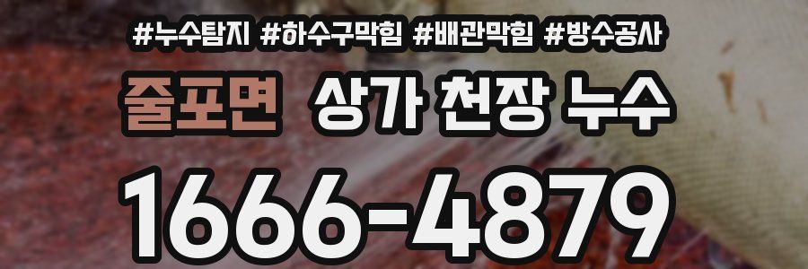 줄포면 상가 천장 누수