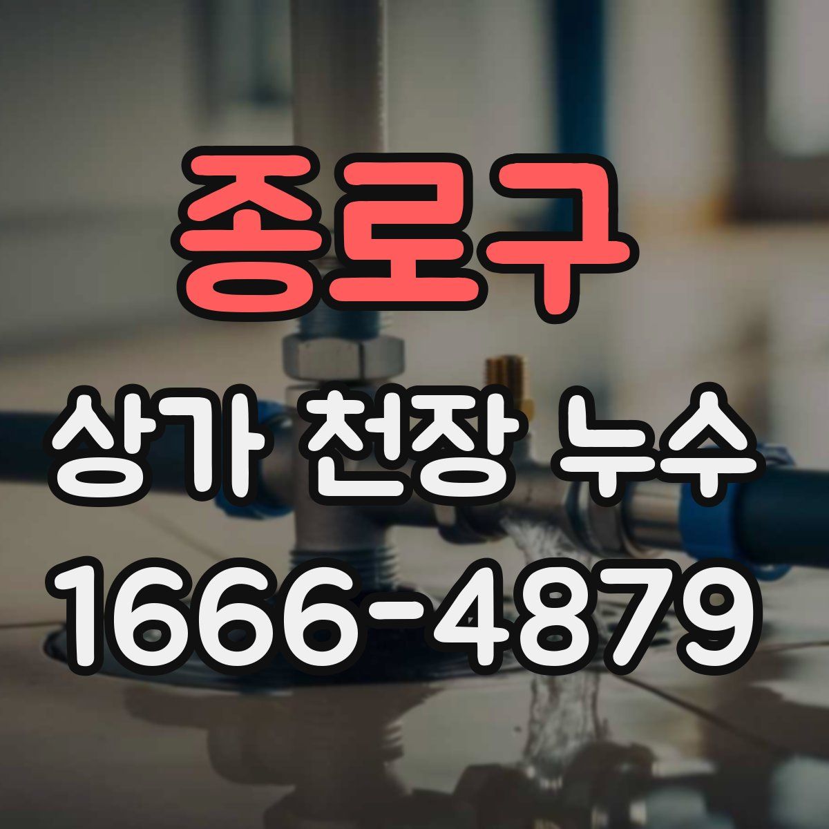 종로구 상가 천장 누수