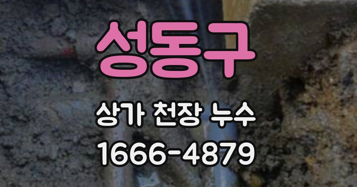 성동구 상가 천장 누수