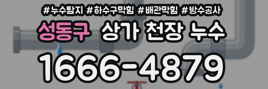 성동구 상가 천장 누수