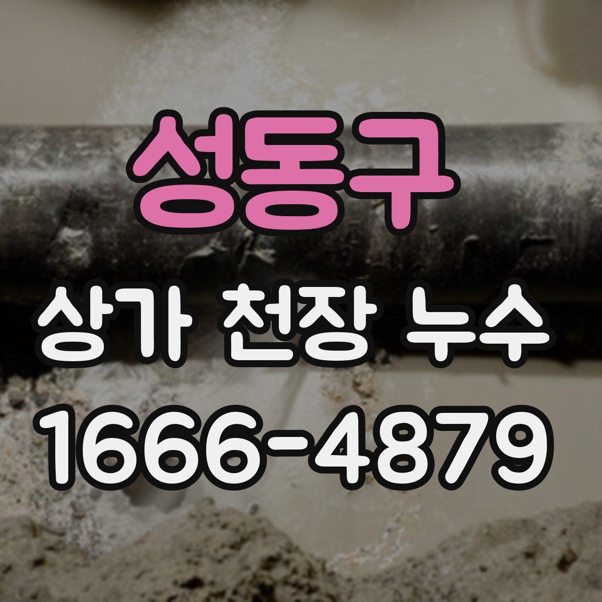 성동구 상가 천장 누수