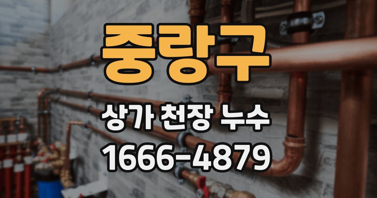 중랑구 상가 천장 누수