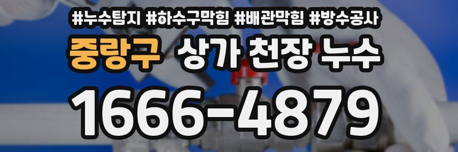 중랑구 상가 천장 누수