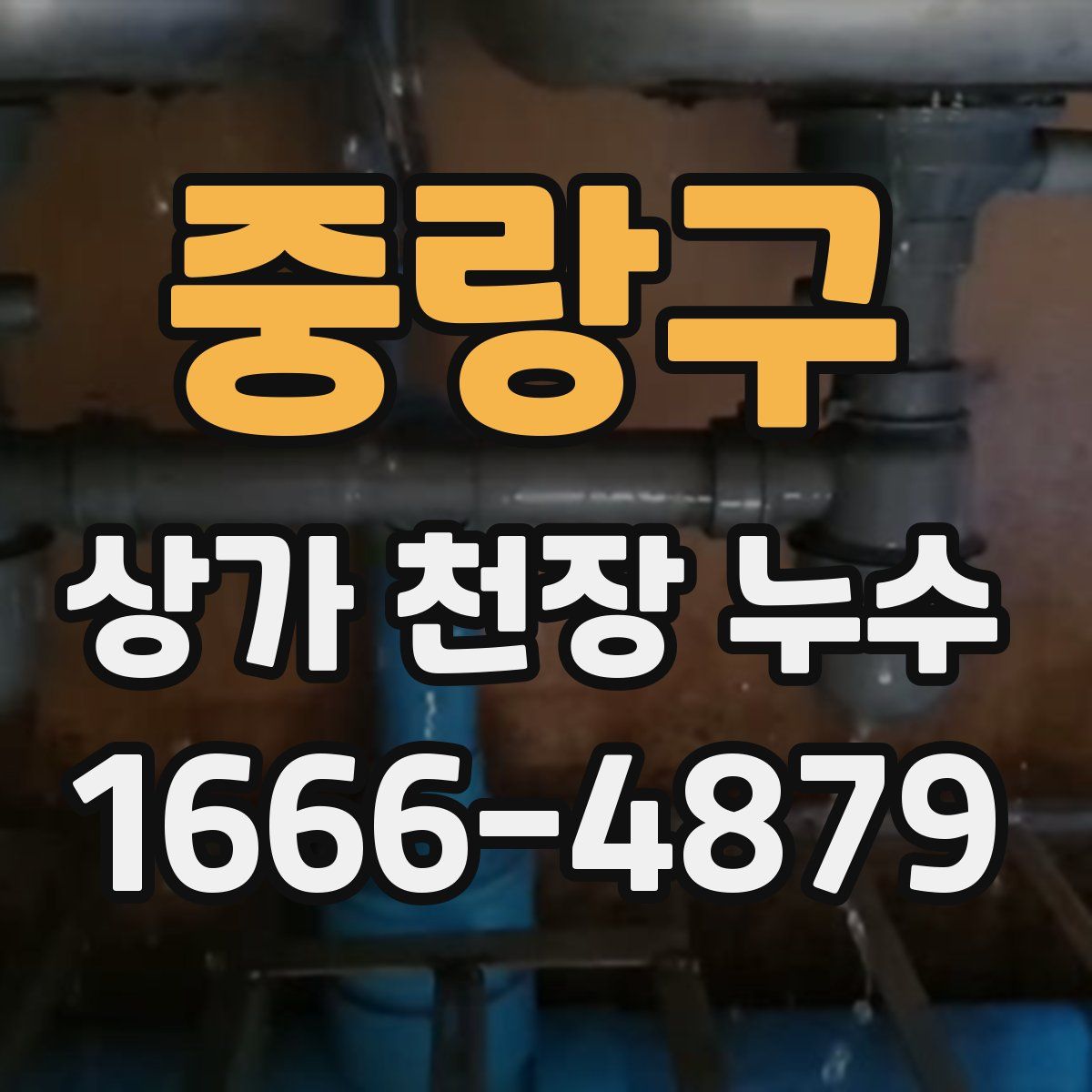 중랑구 상가 천장 누수