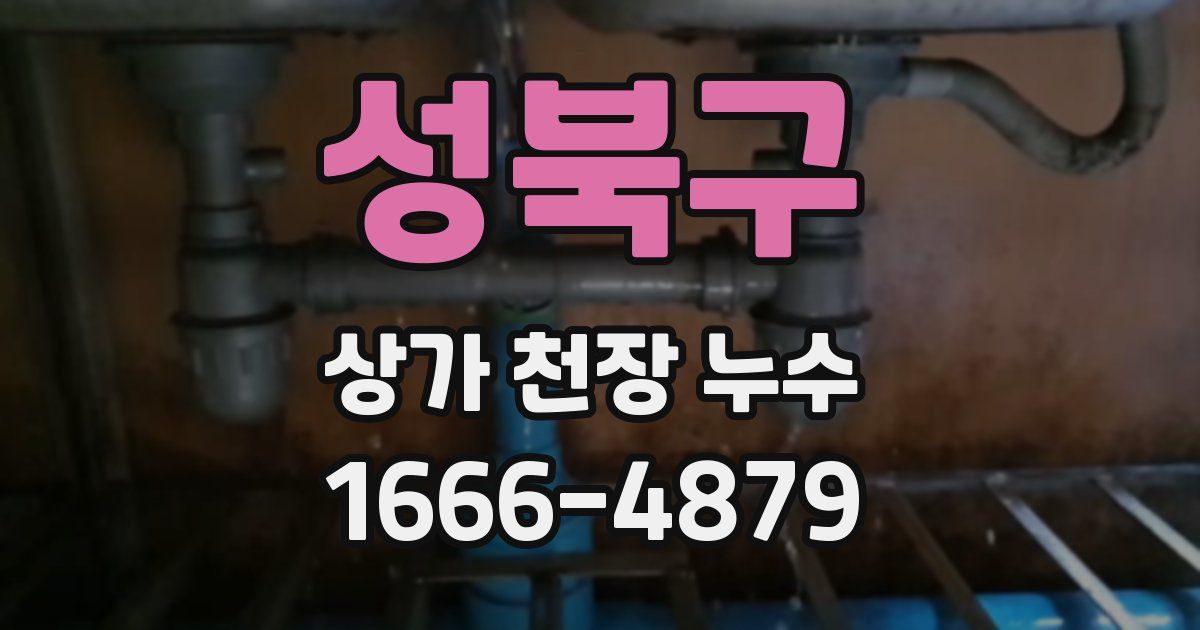 성북구 상가 천장 누수