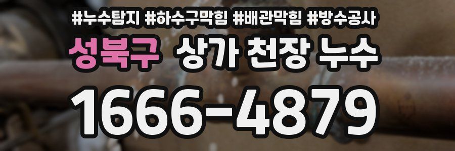 성북구 상가 천장 누수
