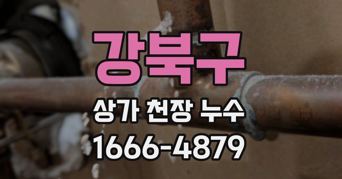 강북구 상가 천장 누수