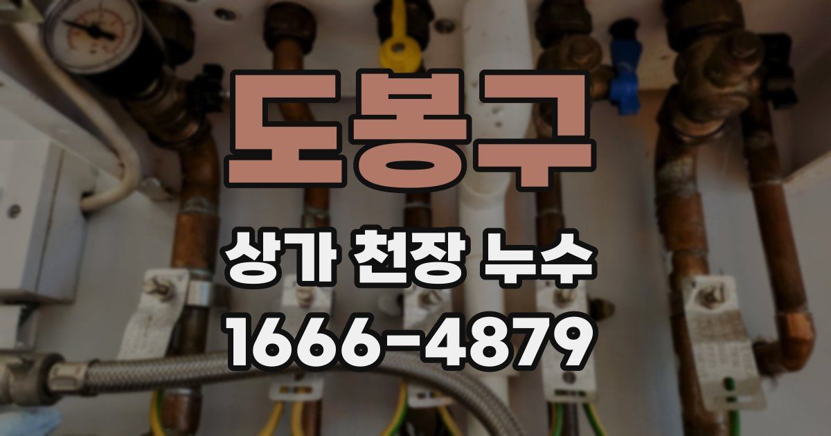 도봉구 상가 천장 누수