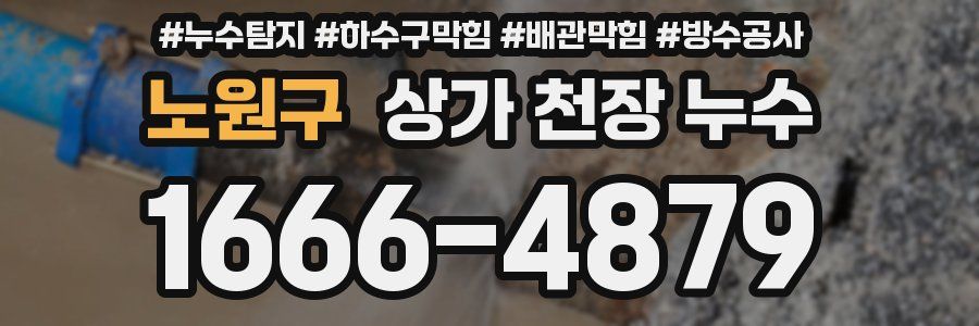 노원구 상가 천장 누수
