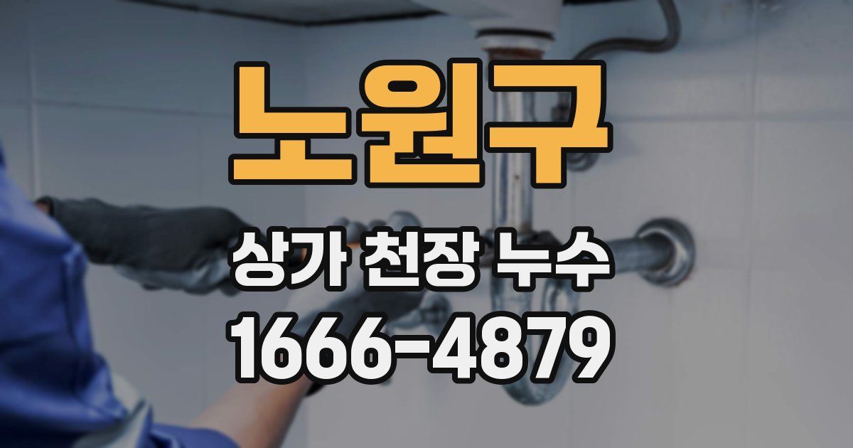 노원구 상가 천장 누수