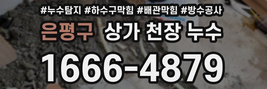 은평구 상가 천장 누수