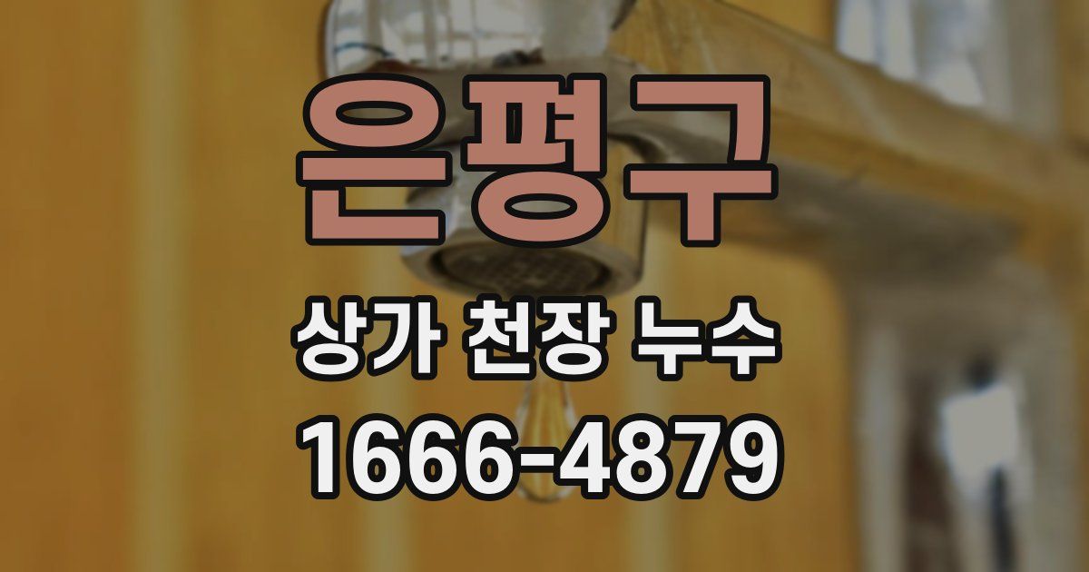 은평구 상가 천장 누수
