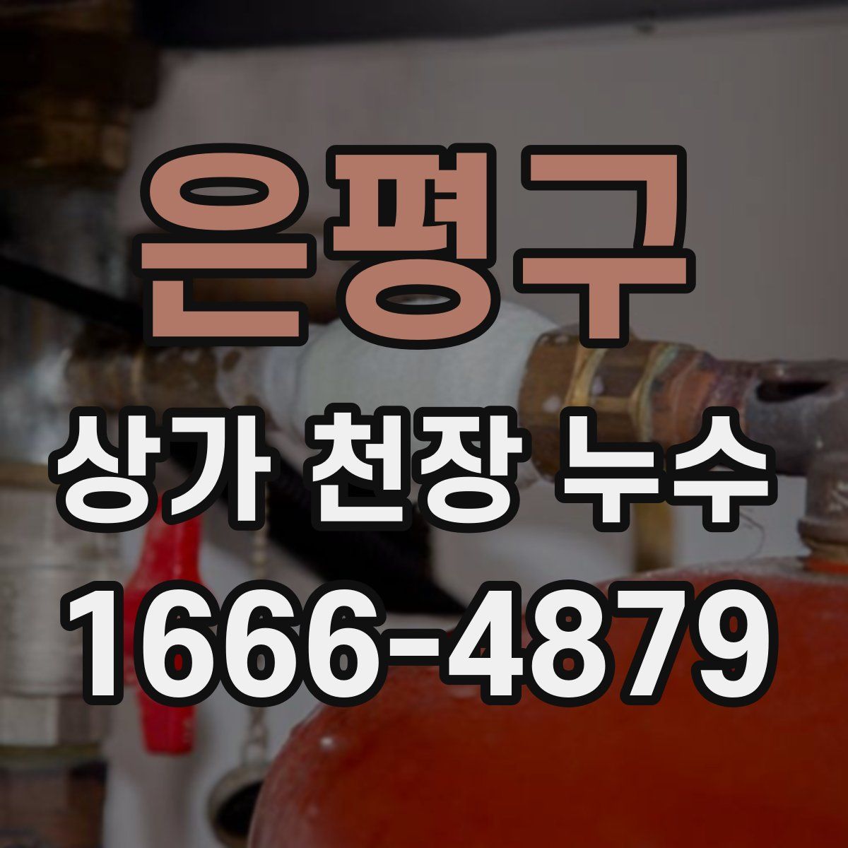 은평구 상가 천장 누수