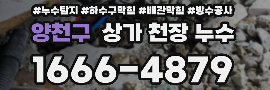 양천구 상가 천장 누수