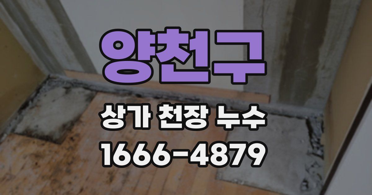 양천구 상가 천장 누수