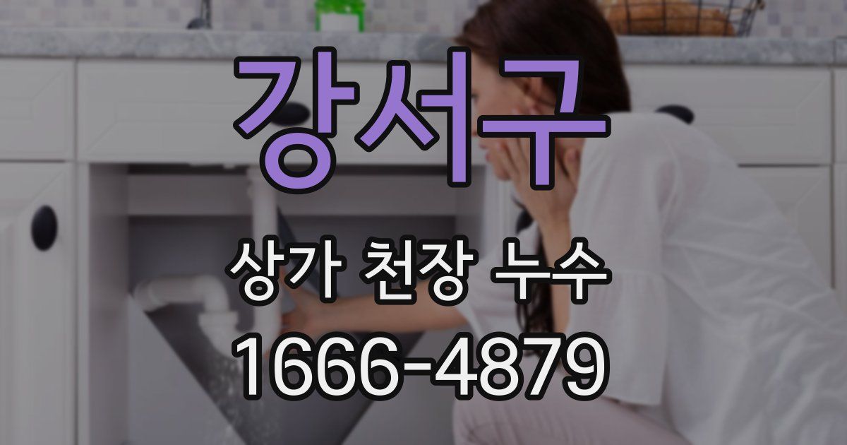 강서구 상가 천장 누수