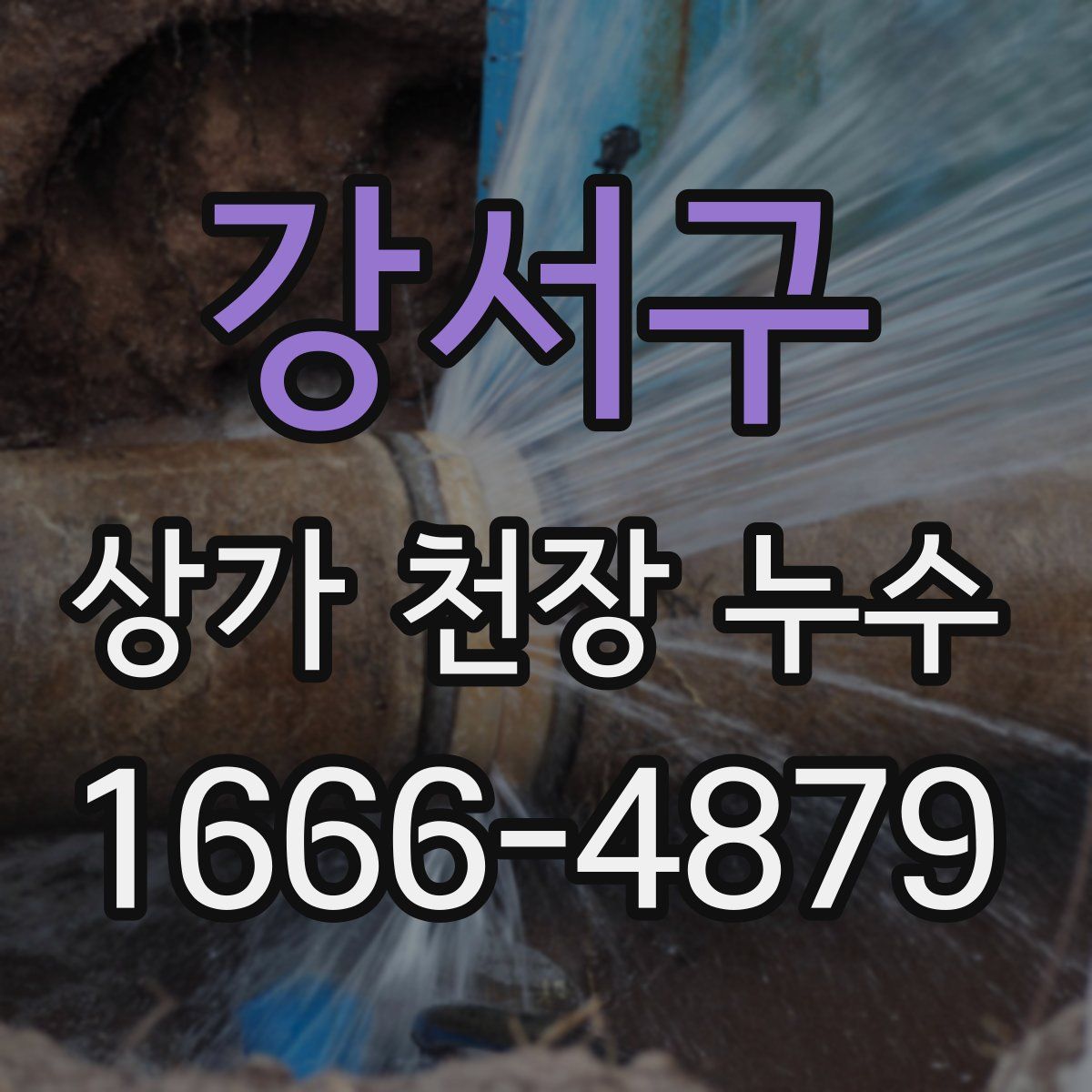 강서구 상가 천장 누수