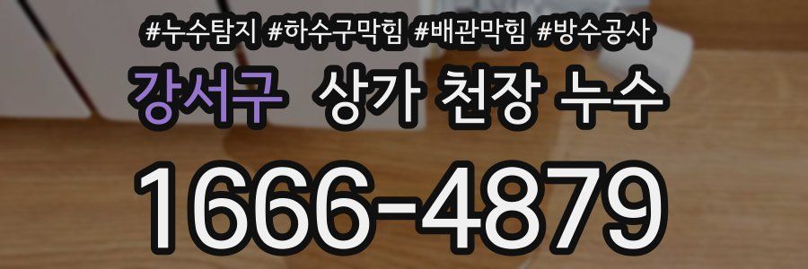 강서구 상가 천장 누수