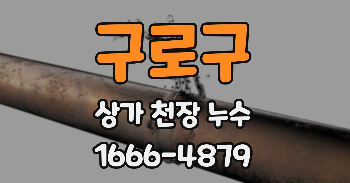 구로구 상가 천장 누수