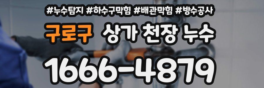 구로구 상가 천장 누수