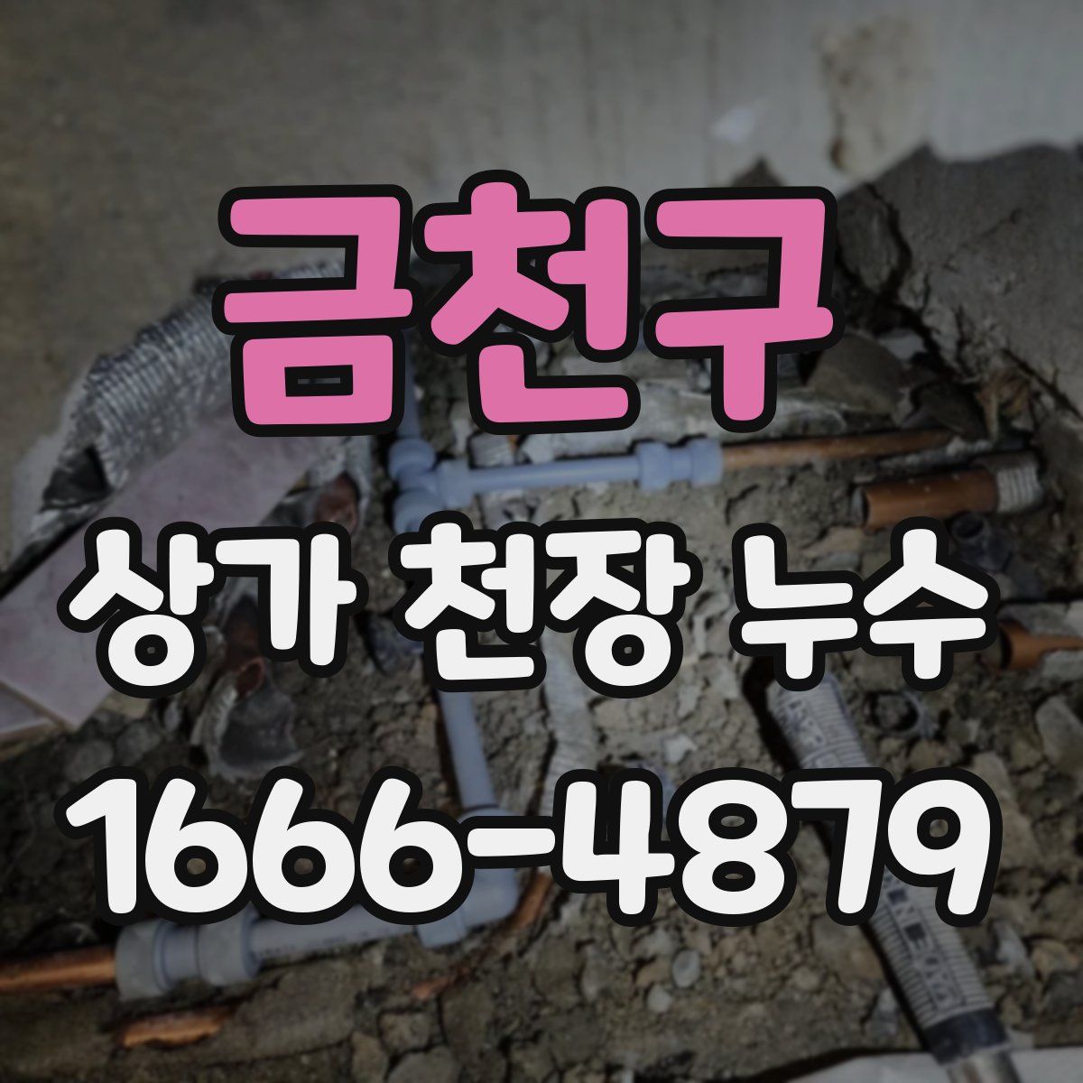 금천구 상가 천장 누수