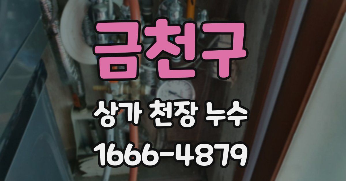 금천구 상가 천장 누수