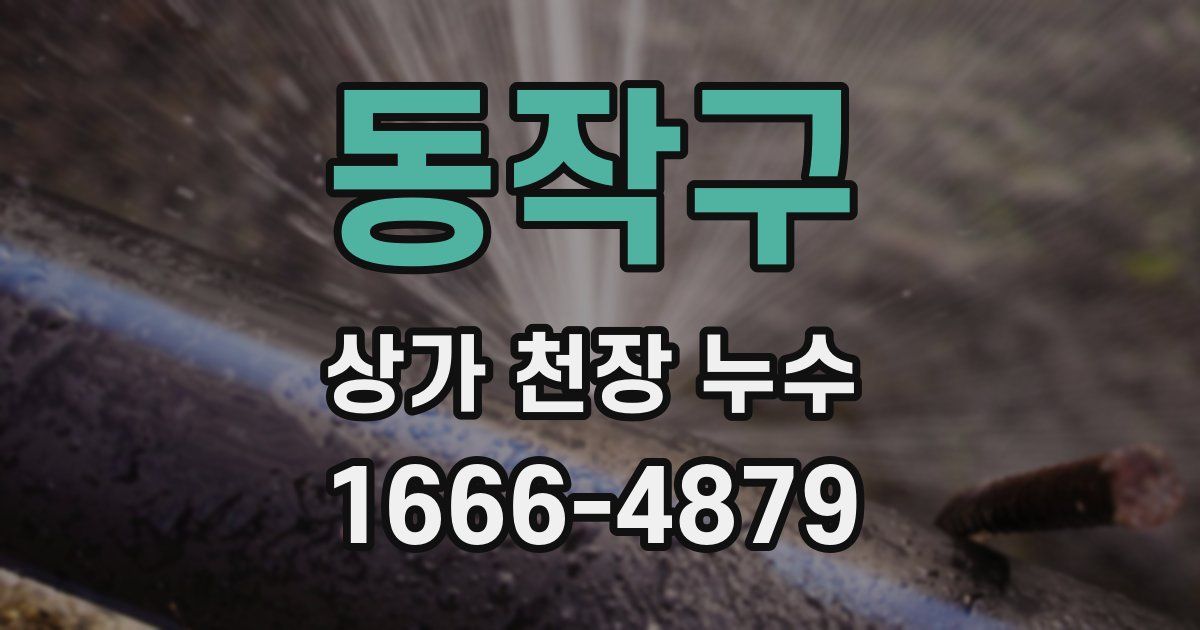 동작구 상가 천장 누수