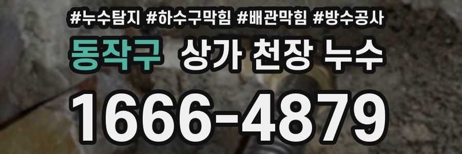 동작구 상가 천장 누수