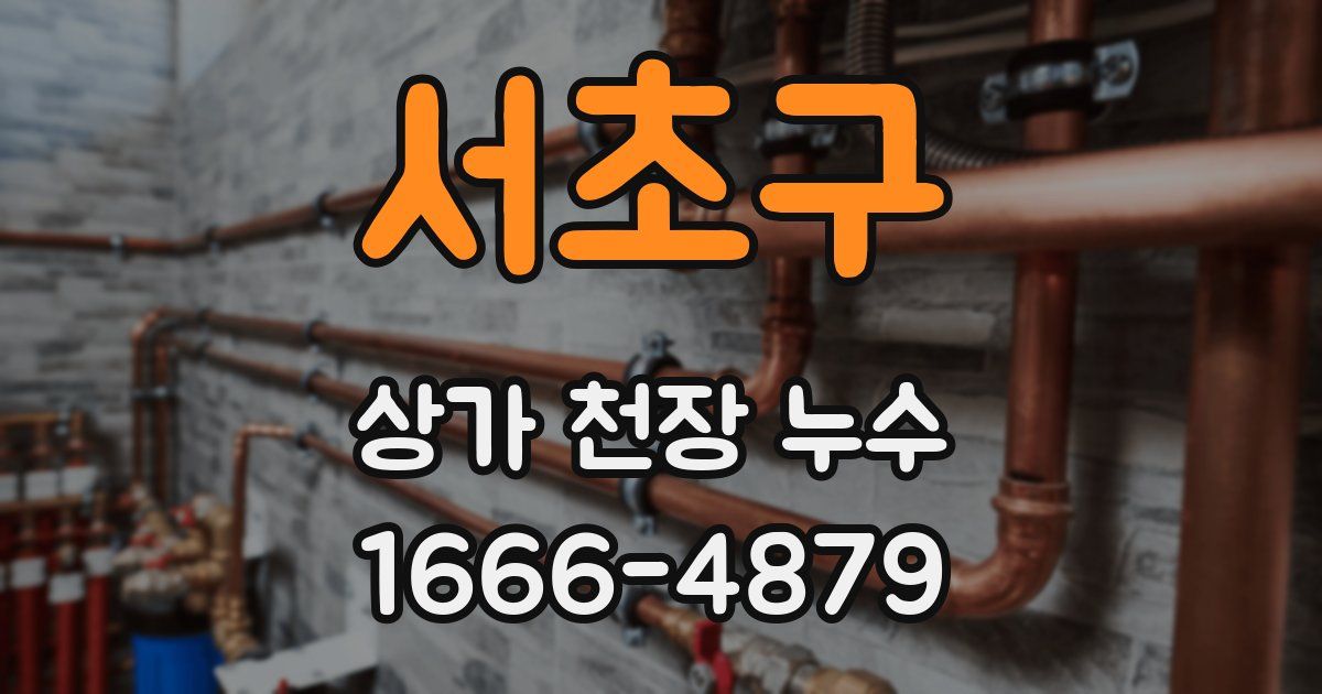 서초구 상가 천장 누수