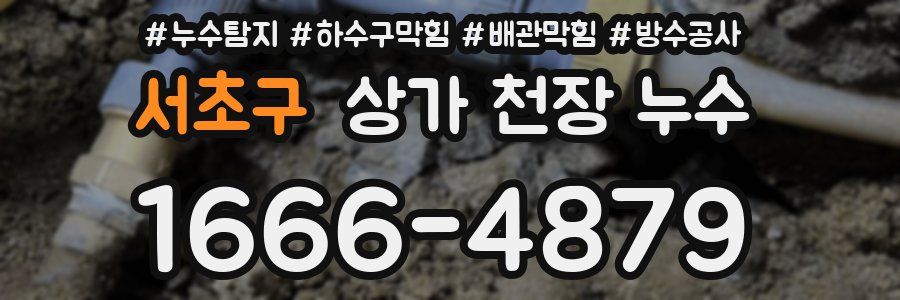 서초구 상가 천장 누수