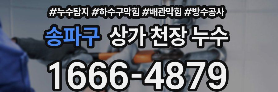 송파구 상가 천장 누수