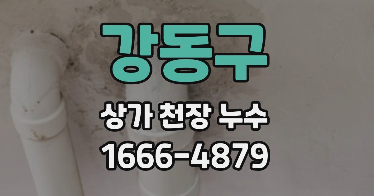 강동구 상가 천장 누수