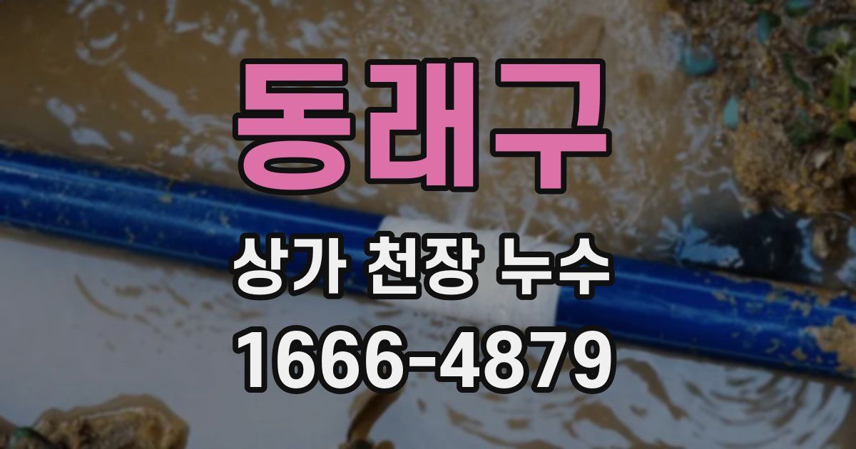 동래구 상가 천장 누수