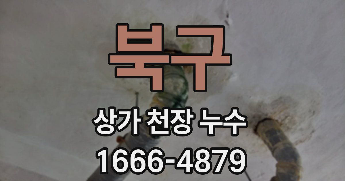 북구 상가 천장 누수