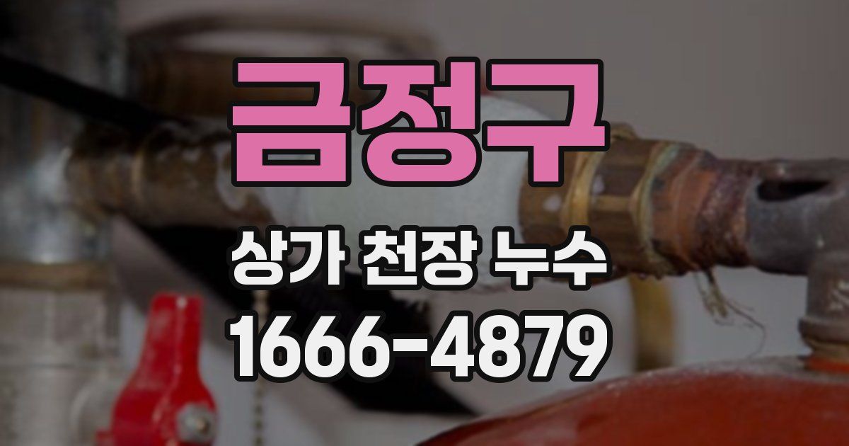 금정구 상가 천장 누수