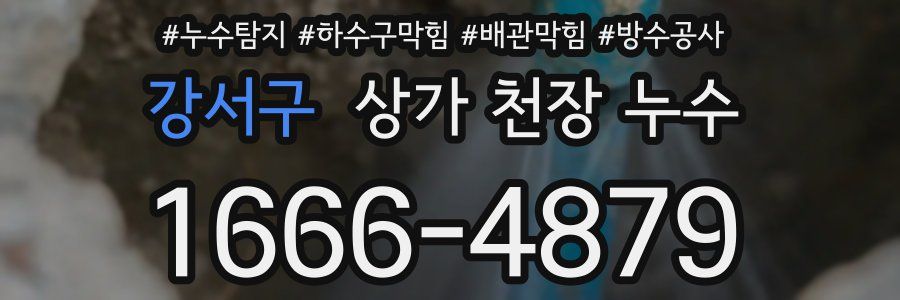 강서구 상가 천장 누수