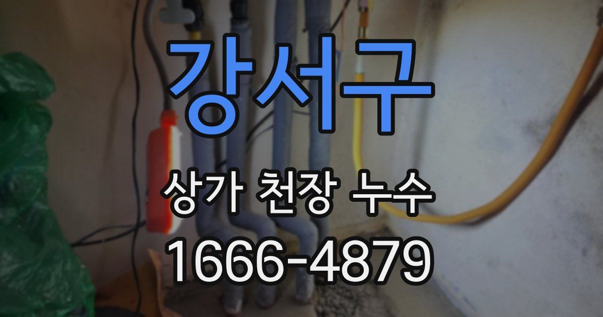 강서구 상가 천장 누수