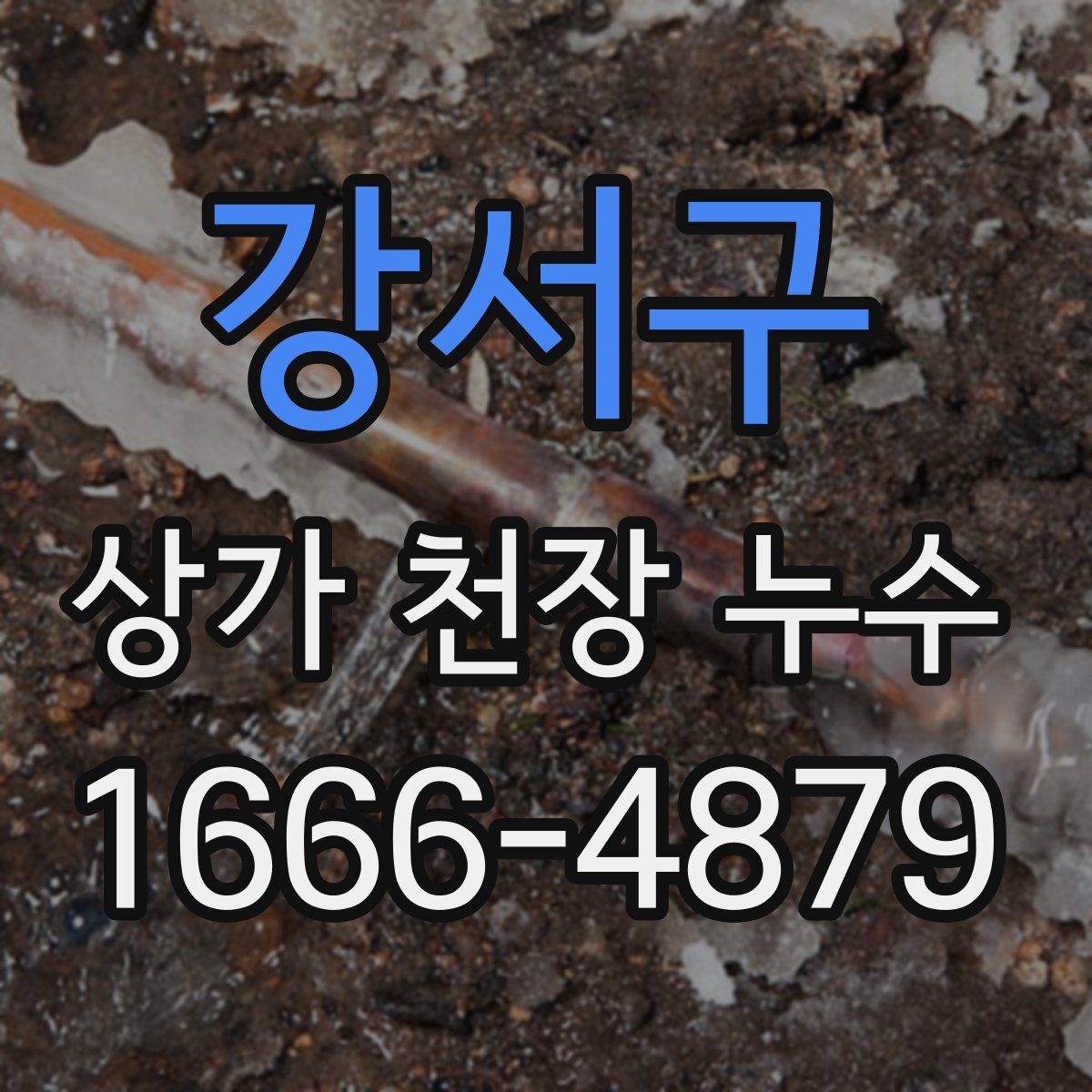 강서구 상가 천장 누수