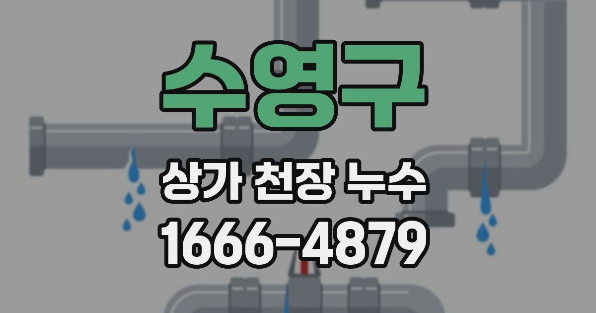수영구 상가 천장 누수